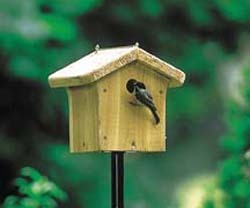 WBU Chickadee House