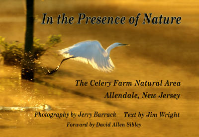 In the Presence of Nature