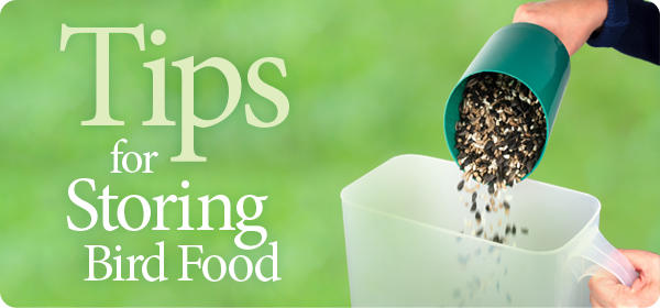 Tips for Storing Bird Food